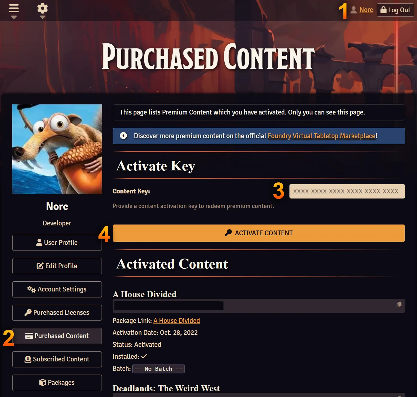 External Premium Content Activation